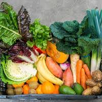 Fruit & Veg Shop Scales with Label Printer